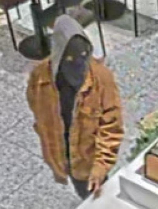 FBI photo of COMMERCIAL ROBBERIES - FLORIDA