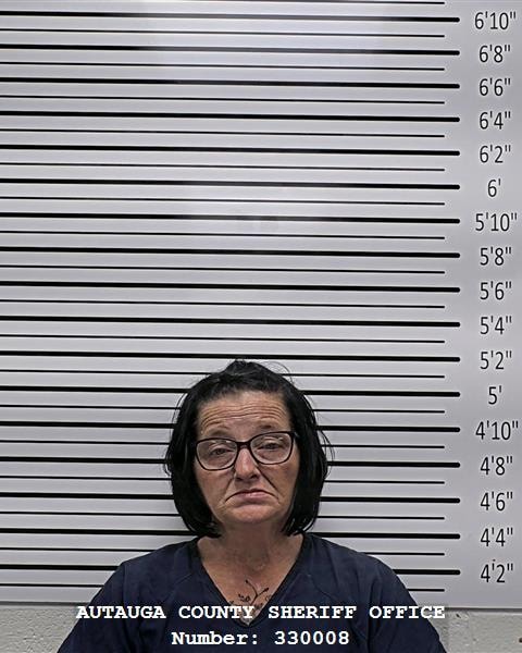 Mugshot of AMY ELIZABETH ALLEN