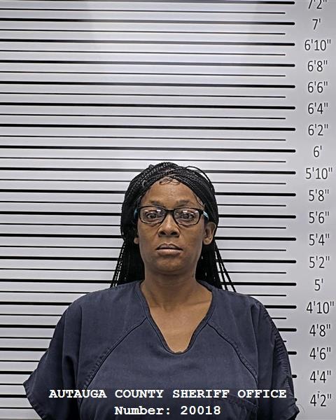 Mugshot of DIANA NICOLE MCBRIDE