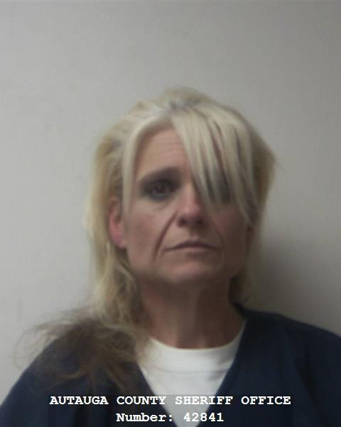 Mugshot of RHEANNA LEIGH COX