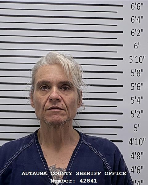 Mugshot of RHEANNA LEIGH COX