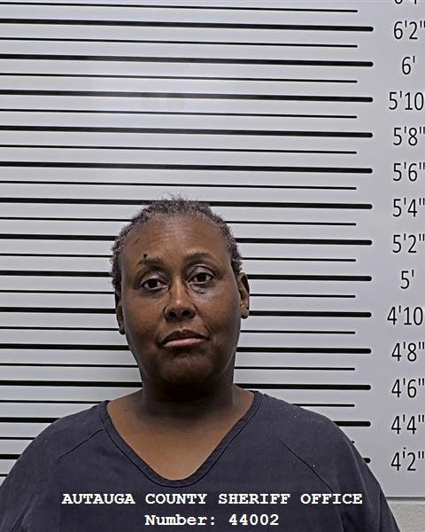 Mugshot of TIWANDA MICHELE PICKETT