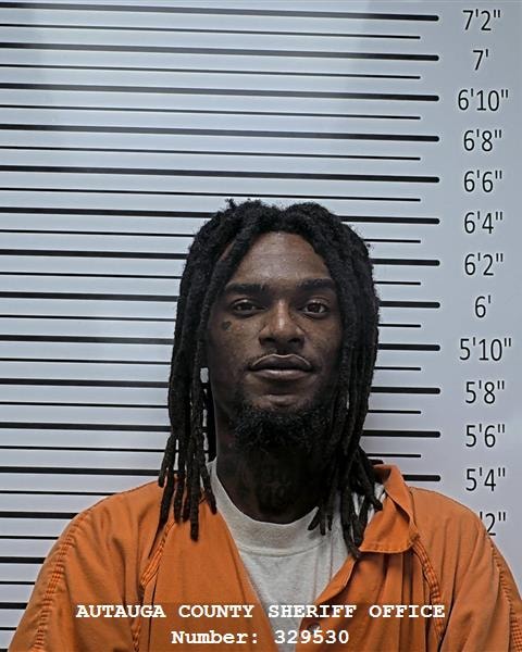 Mugshot of DACORIEUS D MCBRIDE