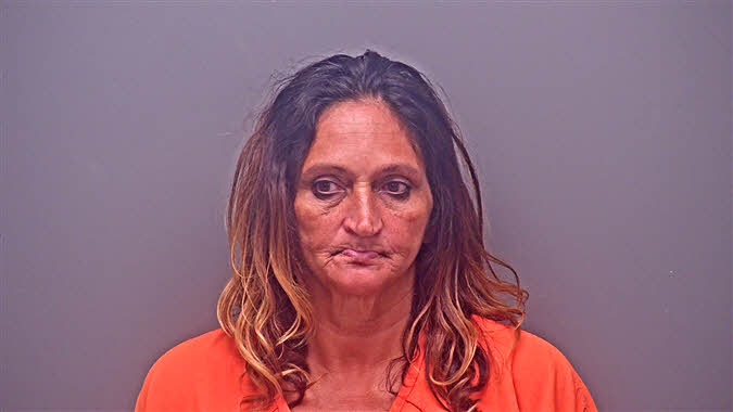 Mugshot of ROBIN MARIE O'NEAL
