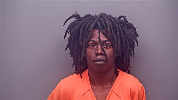 Mugshot of DEANTE LAMAR PALMER