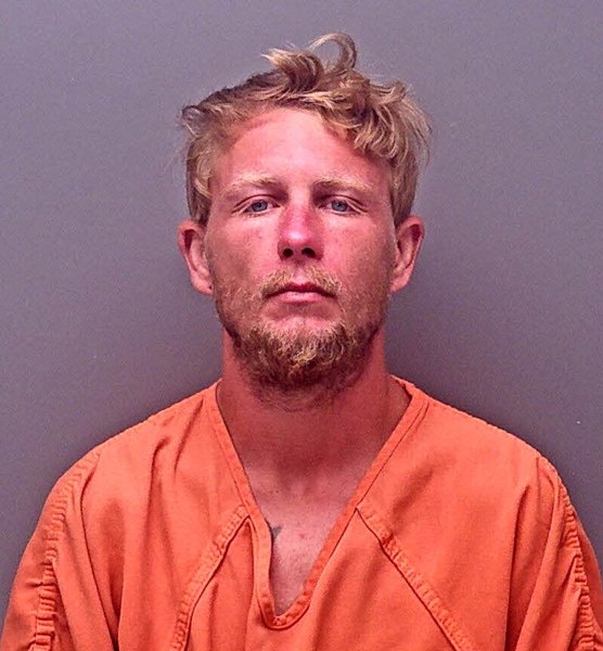 Mugshot of DONNIE RAY CARTER