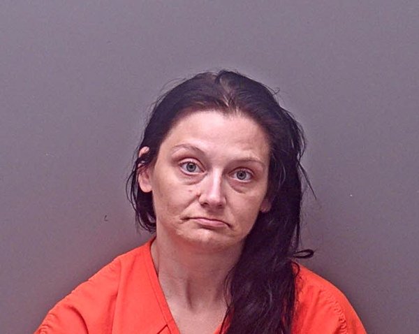 Mugshot of KELLY LEE PERKINS