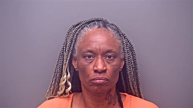 Mugshot of ELIZABETH SEXTON BROWN