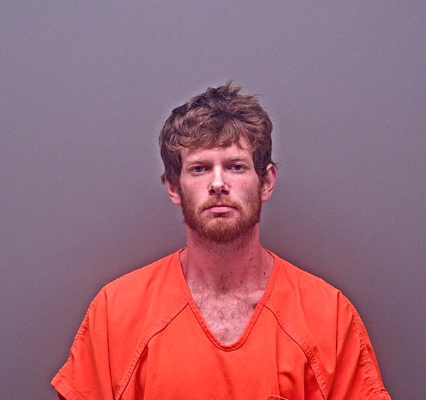 Mugshot of DILLAN CORAL FRISBIE