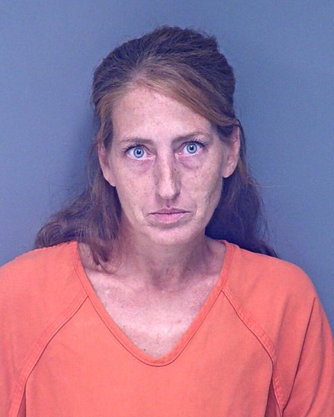 Mugshot of AMY LEIGH STACK