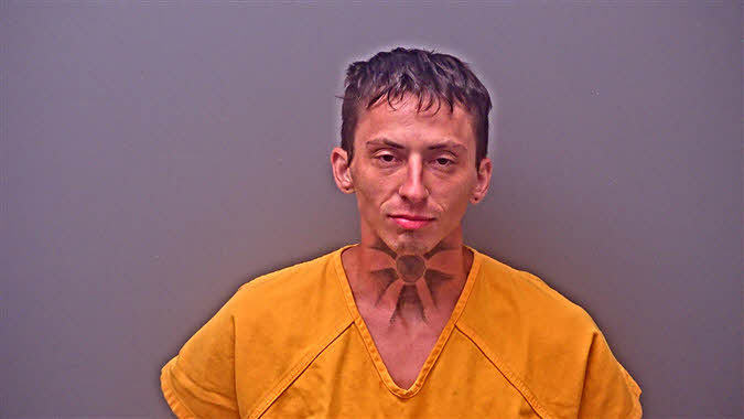 Mugshot of MICHAEL VERTREESE LEDDICK
