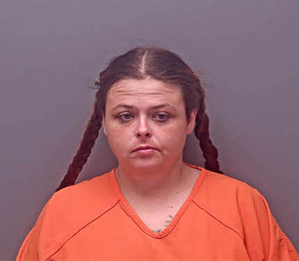 Mugshot of BRIANNA DAWN SULLIVAN