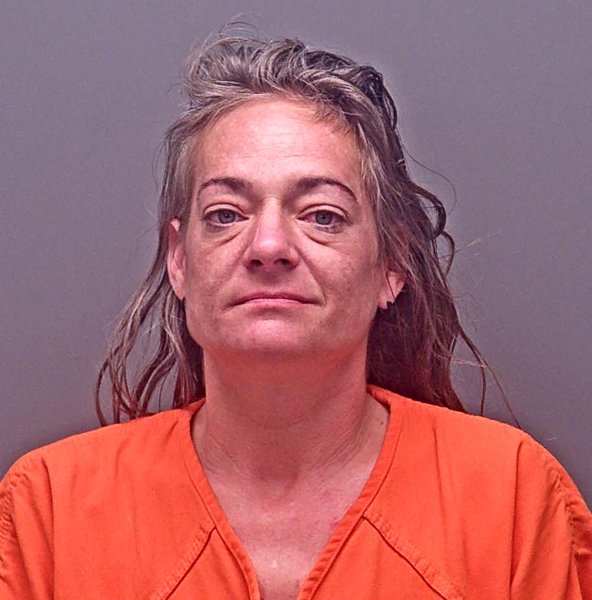 Mugshot of ALLISON BROOKE TIMS