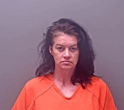 Mugshot of DEBRA KELLY CRAMER