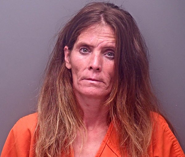 Mugshot of PAMELA ELAINE GARRETT