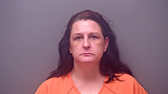 Mugshot of BRANDI DARLENE FOUNTAIN