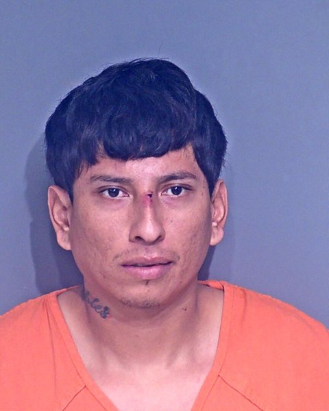 Mugshot of ERIC TORRES ROBLES