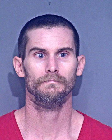 Mugshot of DAVID ALEXANDER ANDERSON