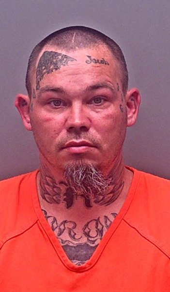 Mugshot of ROY ALLEN WARD JR