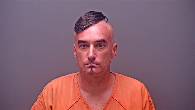 Mugshot of MICHAEL SEAN ELLIS
