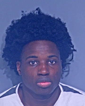 Mugshot of TRINELL RAYSHAWN BROWN
