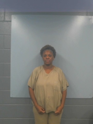 Mugshot of KRISTY LASHAY MILLS