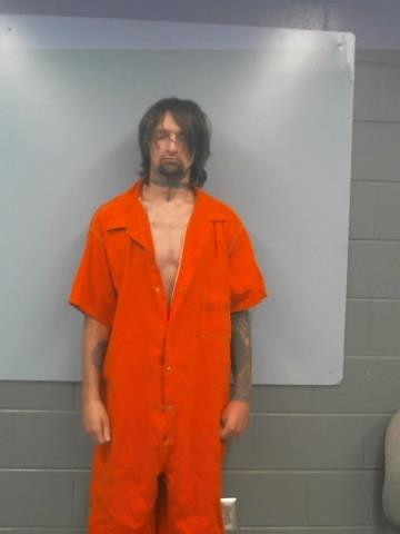 Mugshot of LONNIE BRITT PATRICK