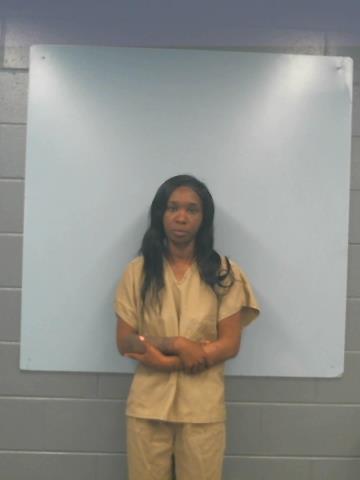Mugshot of MEGAN YVONNE WHEELER
