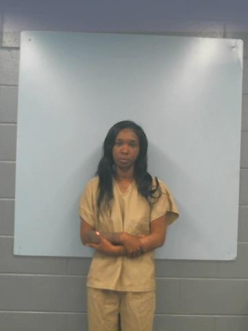 Mugshot of MEGAN YVONNE WHEELER