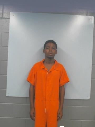 Mugshot of JAQUAVION LAMAR RICHARDSON