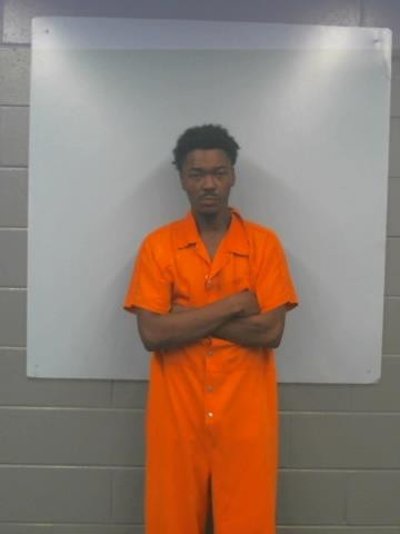Mugshot of DENORRIS MCCLENDON