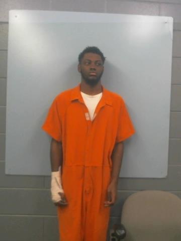 Mugshot of DAVID BURKS