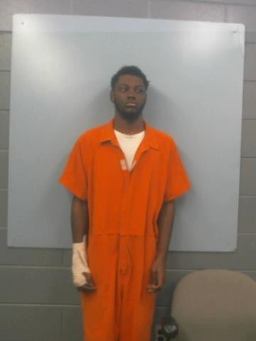 Mugshot of DAVID BURKS