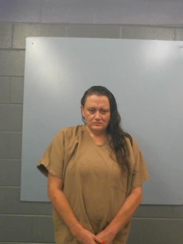 Mugshot of MELISSA MARTIN MILLER