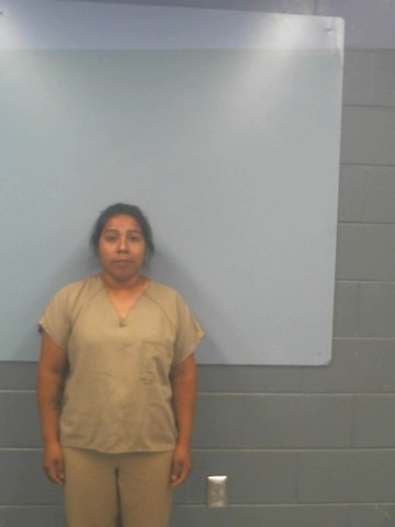 Mugshot of GEORGINA ISABEL LOPEZ