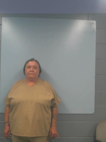 Mugshot of HOLLY MARIE FISCHER