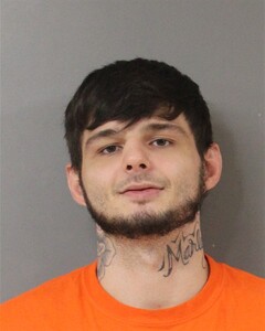 Mugshot of TANNER LIVERMAN