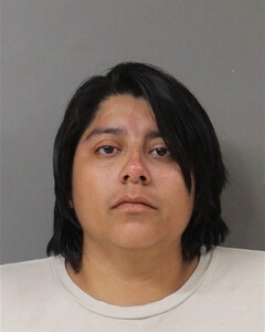 Mugshot of JAVIER SALGADO