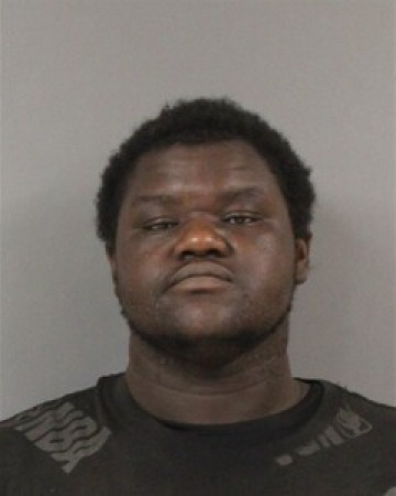 Mugshot of MARTIN WADE