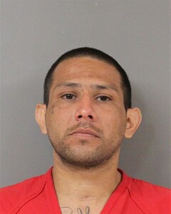 Mugshot of JOSE PESINA