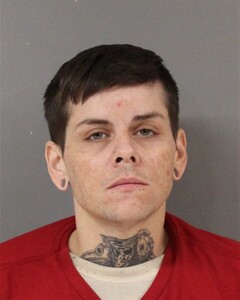 Mugshot of AMANDA FULLER