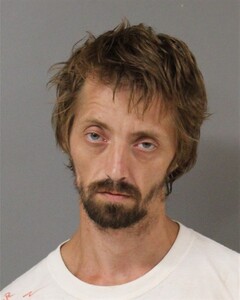 Mugshot of WILLIAM POWELL