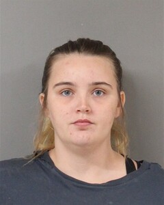 Mugshot of DREW HOLLIS