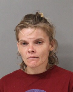 Mugshot of ELIZABETH THOMPSON