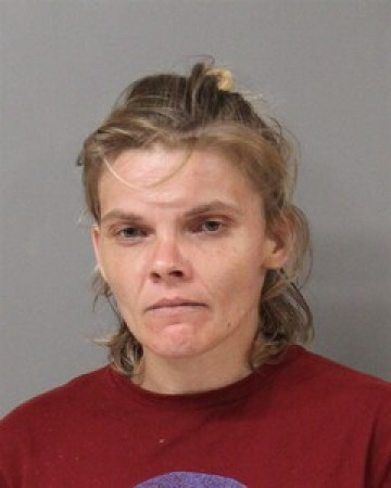 Mugshot of ELIZABETH THOMPSON