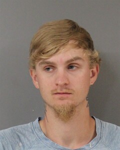Mugshot of DALTYN WADSWORTH