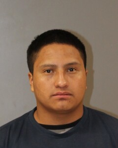 Mugshot of ALEX PU