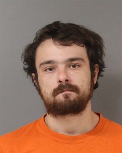 Mugshot of WALTER WEBB