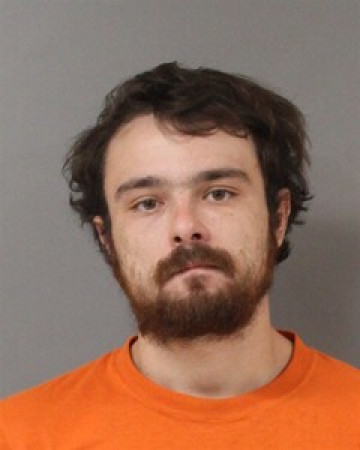 Mugshot of WALTER WEBB