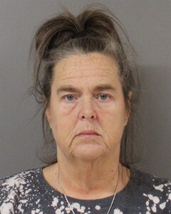 Mugshot of SANDY BAILEY